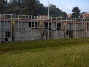 Talponia in the summer